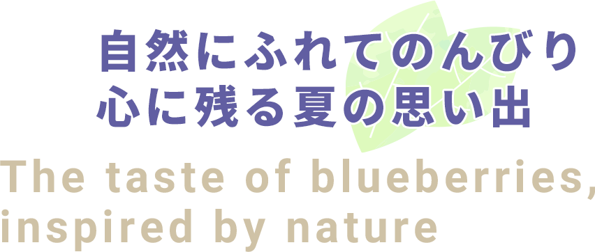 自然にふれてのんびり心に残る夏の思い出